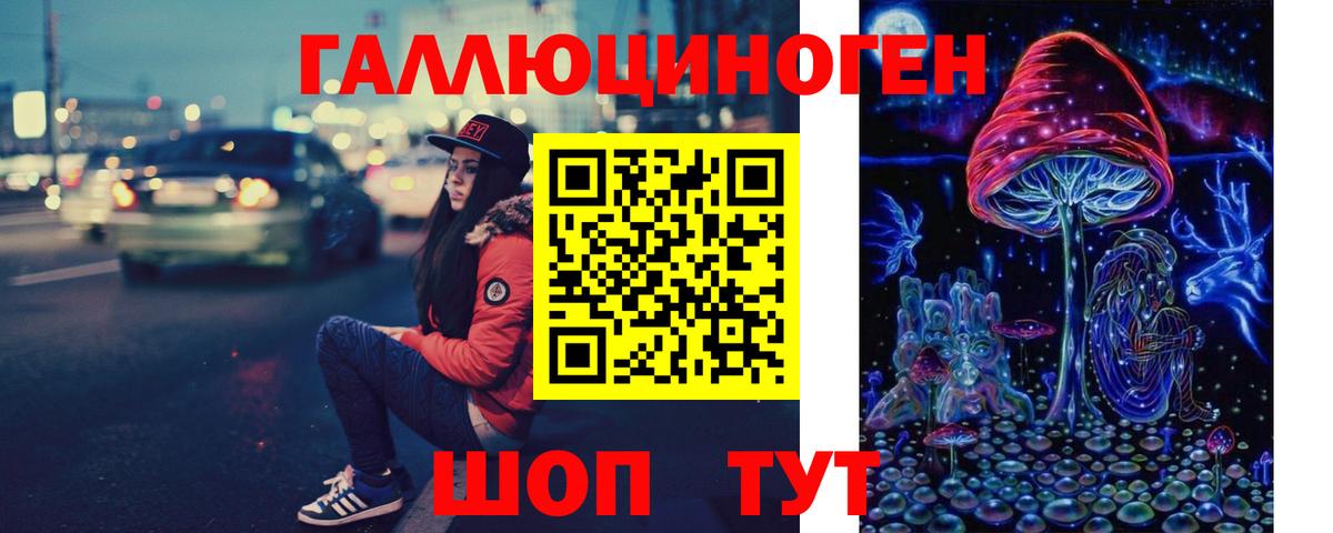 Галлюциногенные грибы Psilocybe  Псилоцибиновые грибы Psilocybe  как найти   Вход с VPN  Уссурийск 