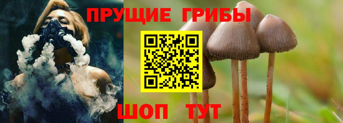 Галлюциногенные грибы Cubensis Уссурийск